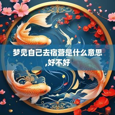梦见自己去宿营是什么意思,好不好