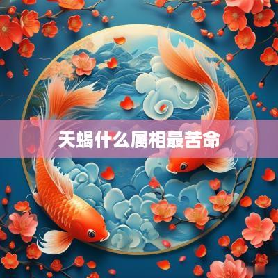 天蝎什么属相最苦命