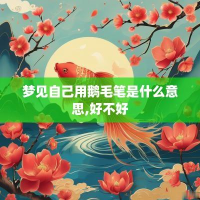 梦见自己用鹅毛笔是什么意思,好不好