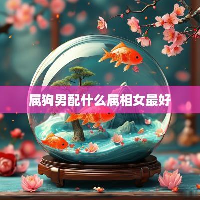 属狗男配什么属相女最好