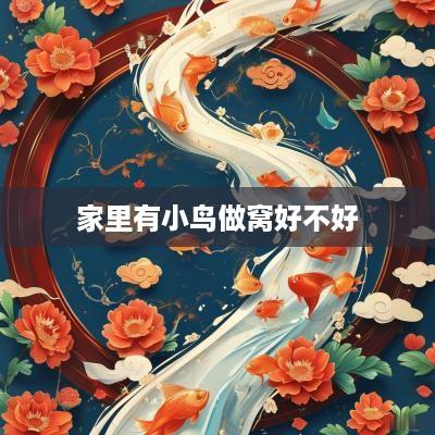 家里有小鸟做窝好不好
