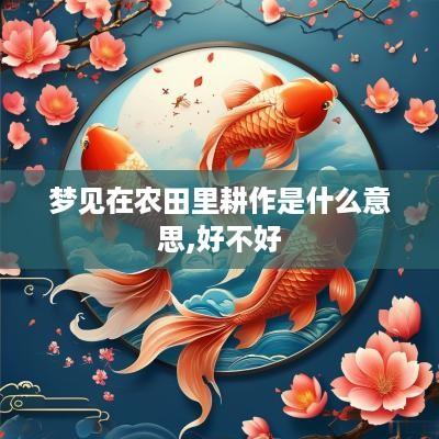 梦见在农田里耕作是什么意思,好不好