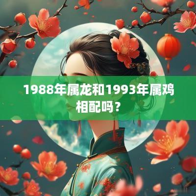 1988年属龙和1993年属鸡相配吗？