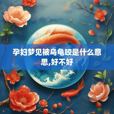 孕妇梦见被乌龟咬是什么意思,好不好