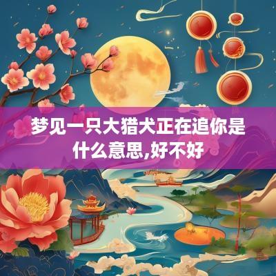 梦见一只大猎犬正在追你是什么意思,好不好
