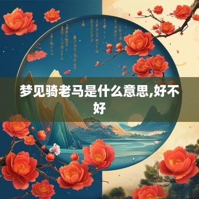 梦见骑老马是什么意思,好不好