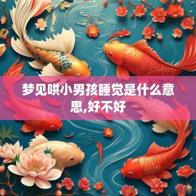 梦见哄小男孩睡觉是什么意思,好不好