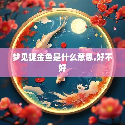 梦见捉金鱼是什么意思,好不好