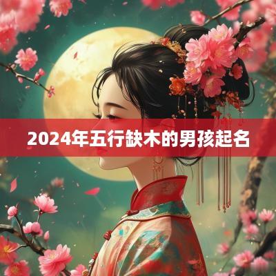 2025年五行缺木的男孩起名