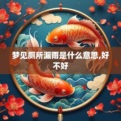梦见厕所漏雨是什么意思,好不好