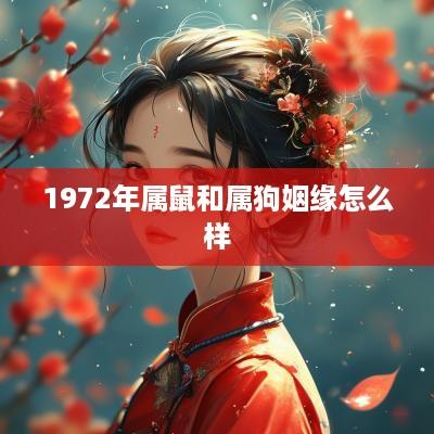 1972年属鼠和属狗姻缘怎么样
