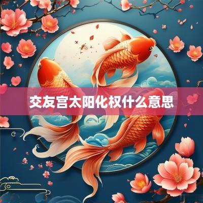 交友宫太阳化权什么意思