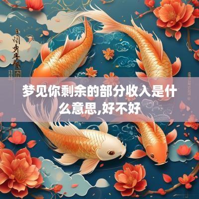 梦见你剩余的部分收入是什么意思,好不好