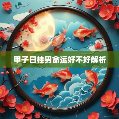 甲子日柱男命运好不好解析