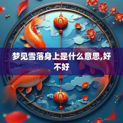 梦见雪落身上是什么意思,好不好