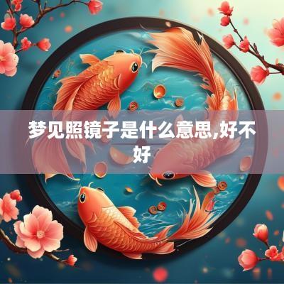 梦见照镜子是什么意思,好不好