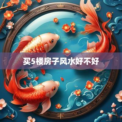 买5楼房子风水好不好