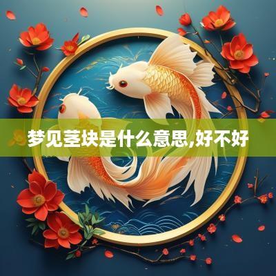 梦见茎块是什么意思,好不好