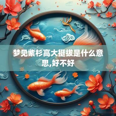 梦见紫杉高大挺拔是什么意思,好不好