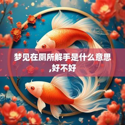 梦见在厕所解手是什么意思,好不好