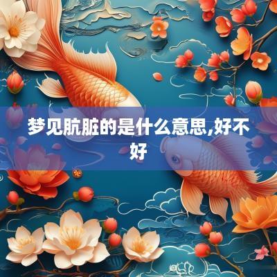 梦见肮脏的是什么意思,好不好