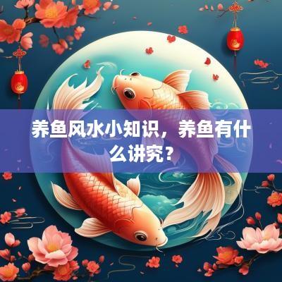 养鱼风水小知识，养鱼有什么讲究？