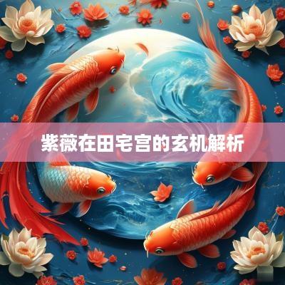 紫薇在田宅宫的玄机解析