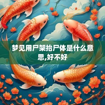 梦见用尸架抬尸体是什么意思,好不好
