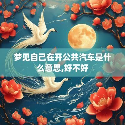 梦见自己在开公共汽车是什么意思,好不好