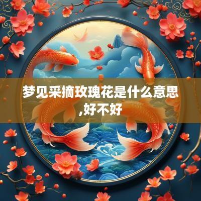 梦见采摘玫瑰花是什么意思,好不好
