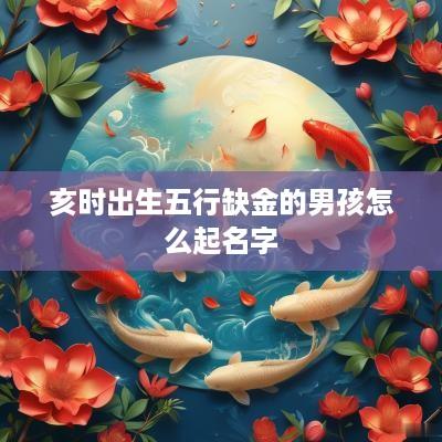 亥时出生五行缺金的男孩怎么起名字