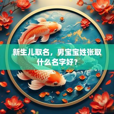 新生儿取名，男宝宝姓张取什么名字好？