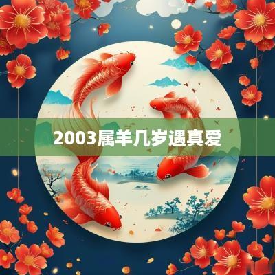 2003属羊几岁遇真爱