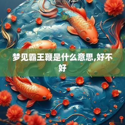 梦见霸王鞭是什么意思,好不好