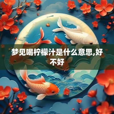 梦见喝柠檬汁是什么意思,好不好