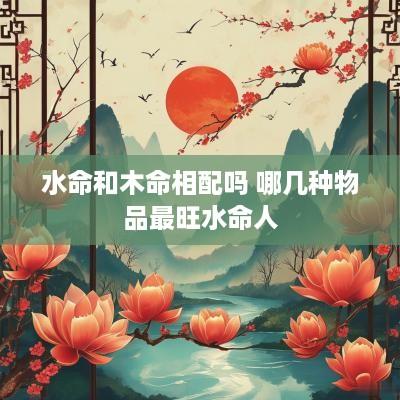 水命和木命相配吗 哪几种物品最旺水命人