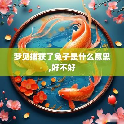 梦见捕获了兔子是什么意思,好不好
