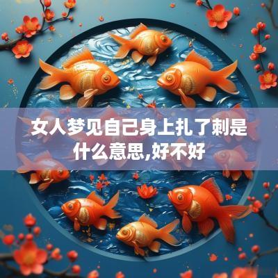 女人梦见自己身上扎了刺是什么意思,好不好