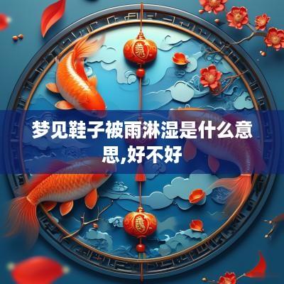 梦见鞋子被雨淋湿是什么意思,好不好