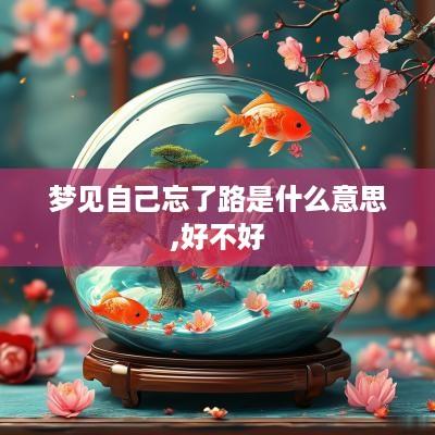 梦见自己忘了路是什么意思,好不好