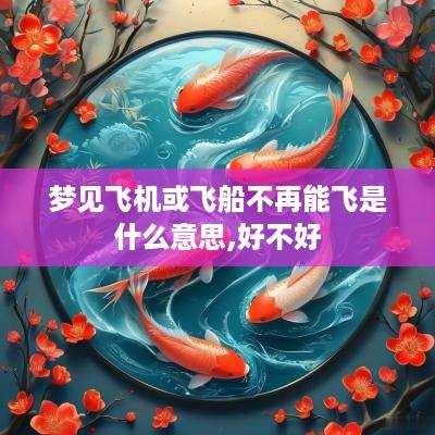 梦见飞机或飞船不再能飞是什么意思,好不好