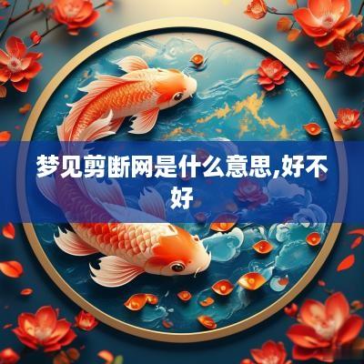 梦见剪断网是什么意思,好不好