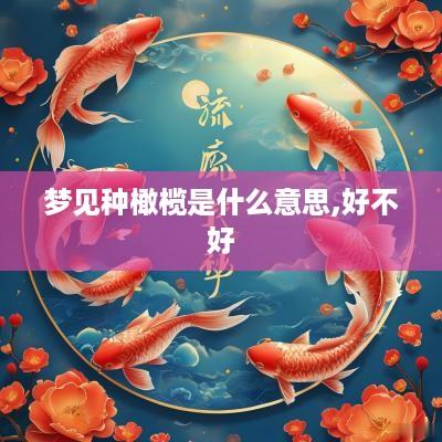 梦见种橄榄是什么意思,好不好