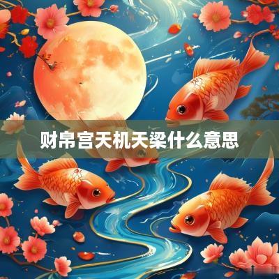 财帛宫天机天梁什么意思