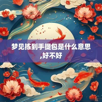 梦见拣到手提包是什么意思,好不好