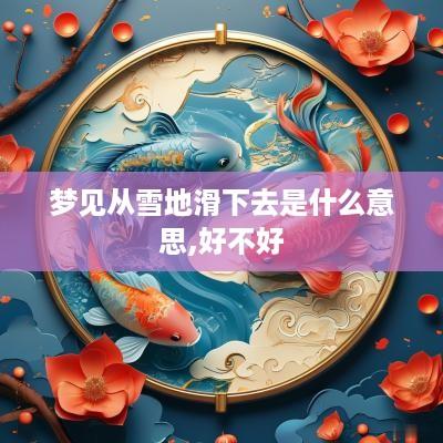 梦见从雪地滑下去是什么意思,好不好