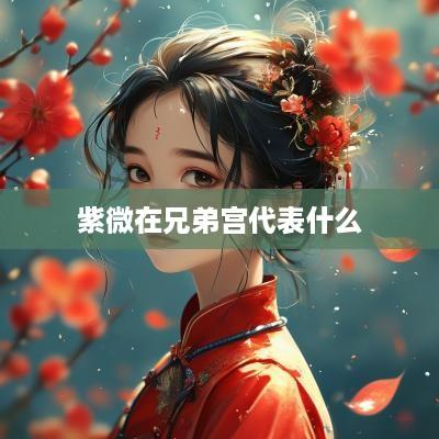 紫微在兄弟宫代表什么