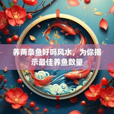 养两条鱼好吗风水，为你揭示最佳养鱼数量