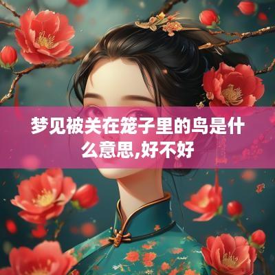 梦见被关在笼子里的鸟是什么意思,好不好