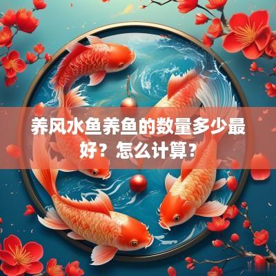 养风水鱼养鱼的数量多少最好？怎么计算？